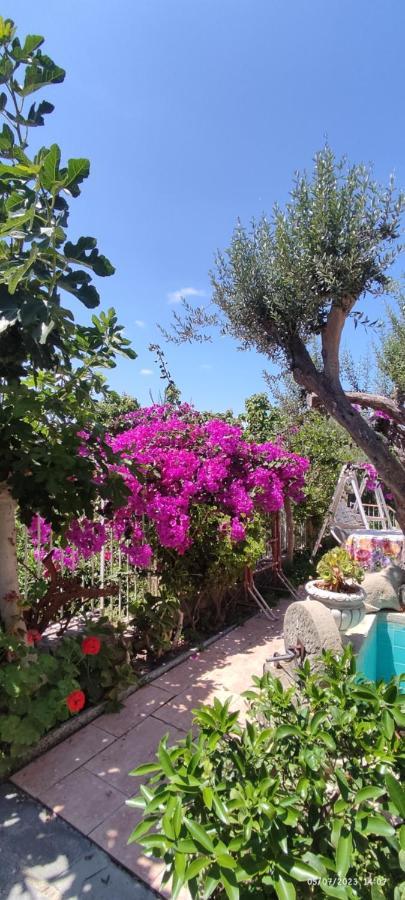 Bed and Breakfast La Casa Di Mariu Furnari Exterior foto